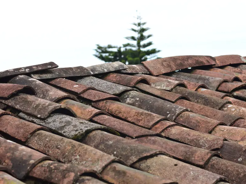 Fix Garage Roof Issues: Top 5 Common Problems And Solutions 2 Untitled design 90 Reitzel Roofing and Exteriors
