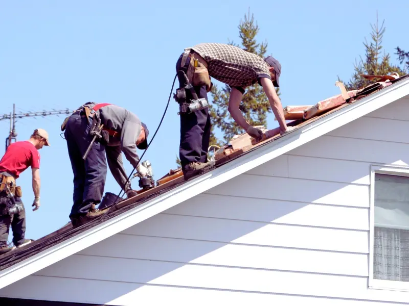 Rain Shedding Metal Siding Guide for Modern Buildings 2 Roof Maintenance