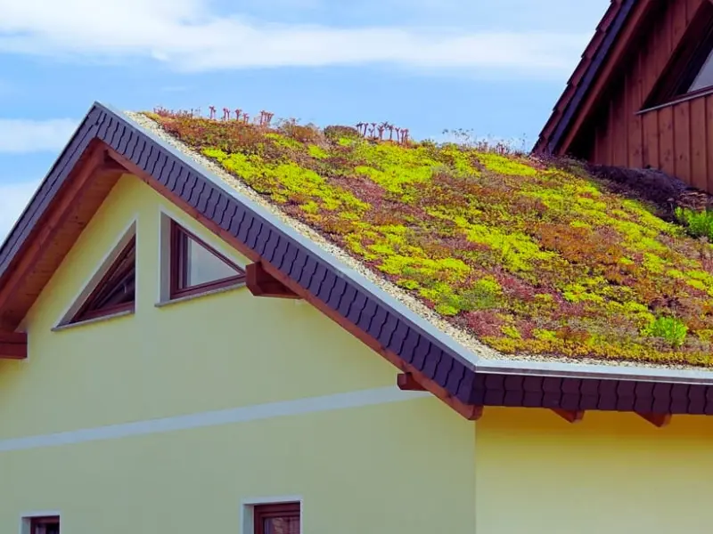 Eco-Friendly Green Roofing Solutions for Virginia Beach Homes 1 Vegetative Roofs