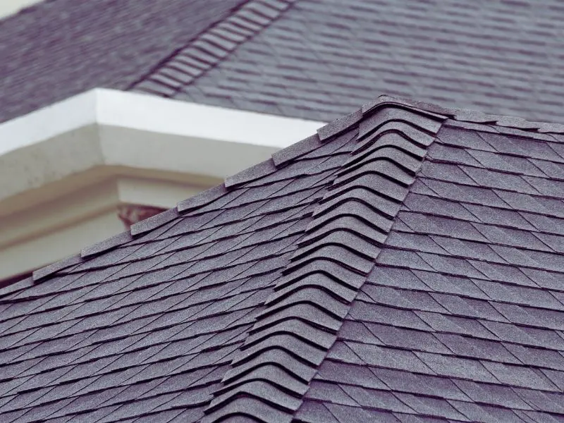 Common Causes of Roof Leaks and How to Spot Them Early 1 Shingles