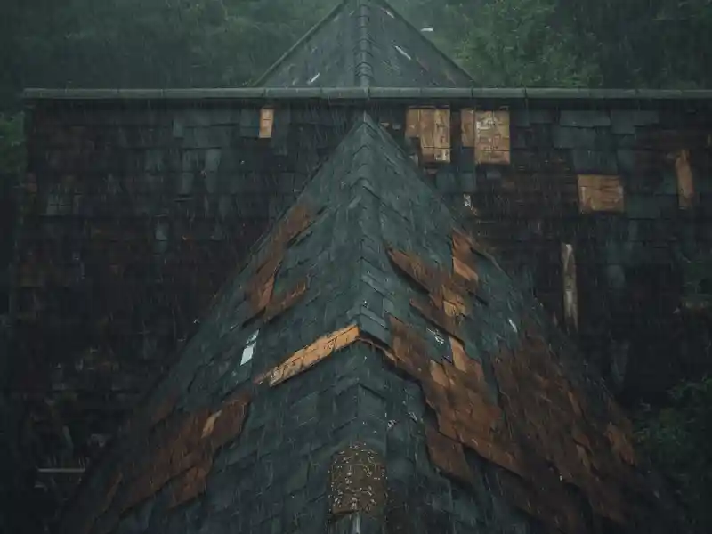 Missing, Lifted, or Damaged Shingles