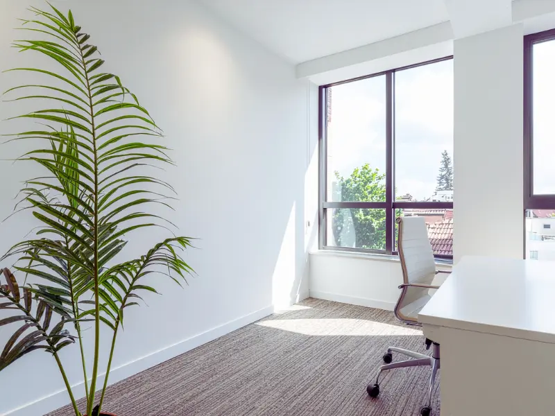 How Modern Windows Services Can Lower Your Monthly Energy Bills 1 professional window services