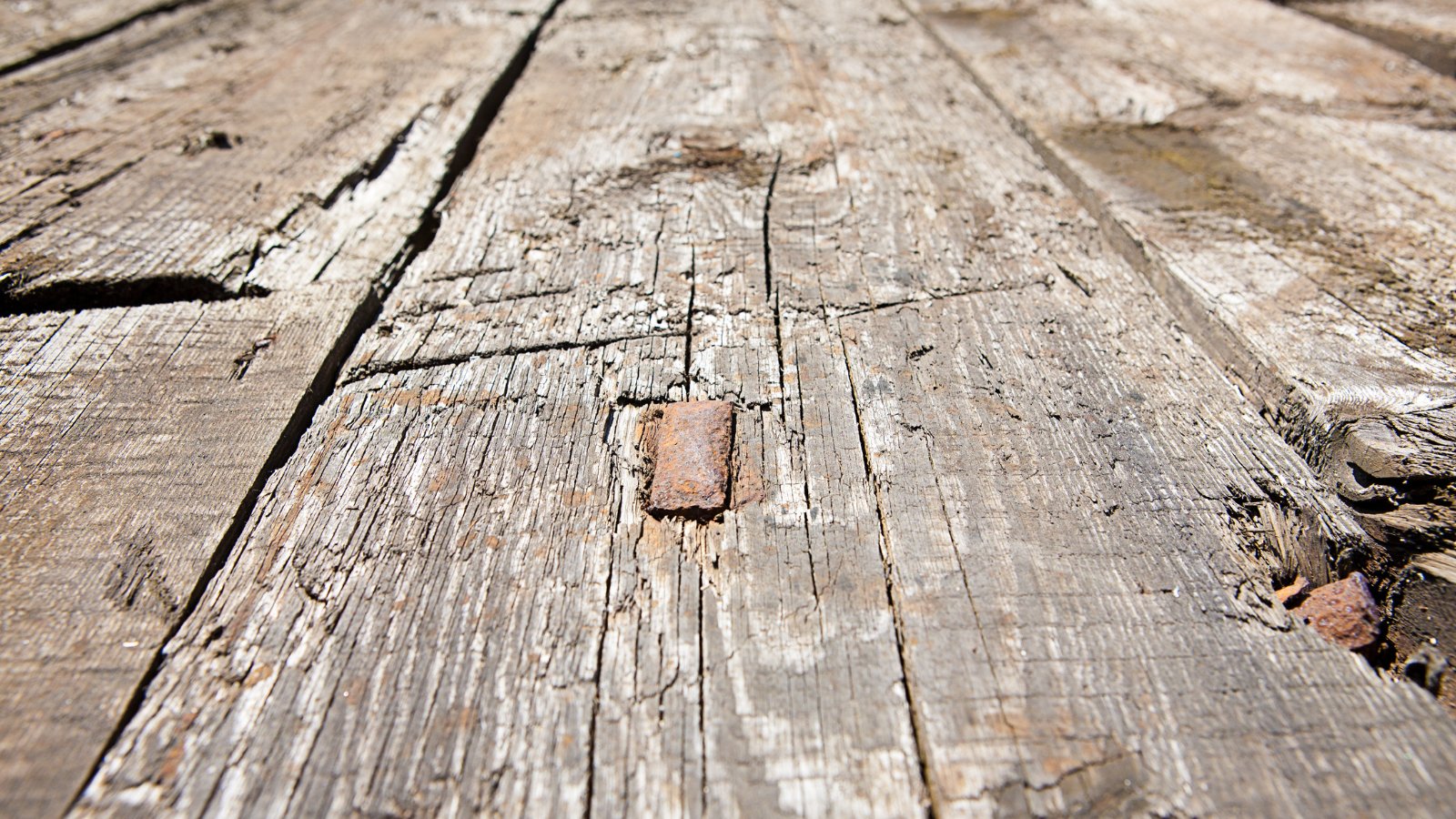 Is Your Backyard Deck Unsafe? Signs You Need Deck Repair or Replacement Before It’s Too Late 2 16 Reitzel Roofing and Exteriors