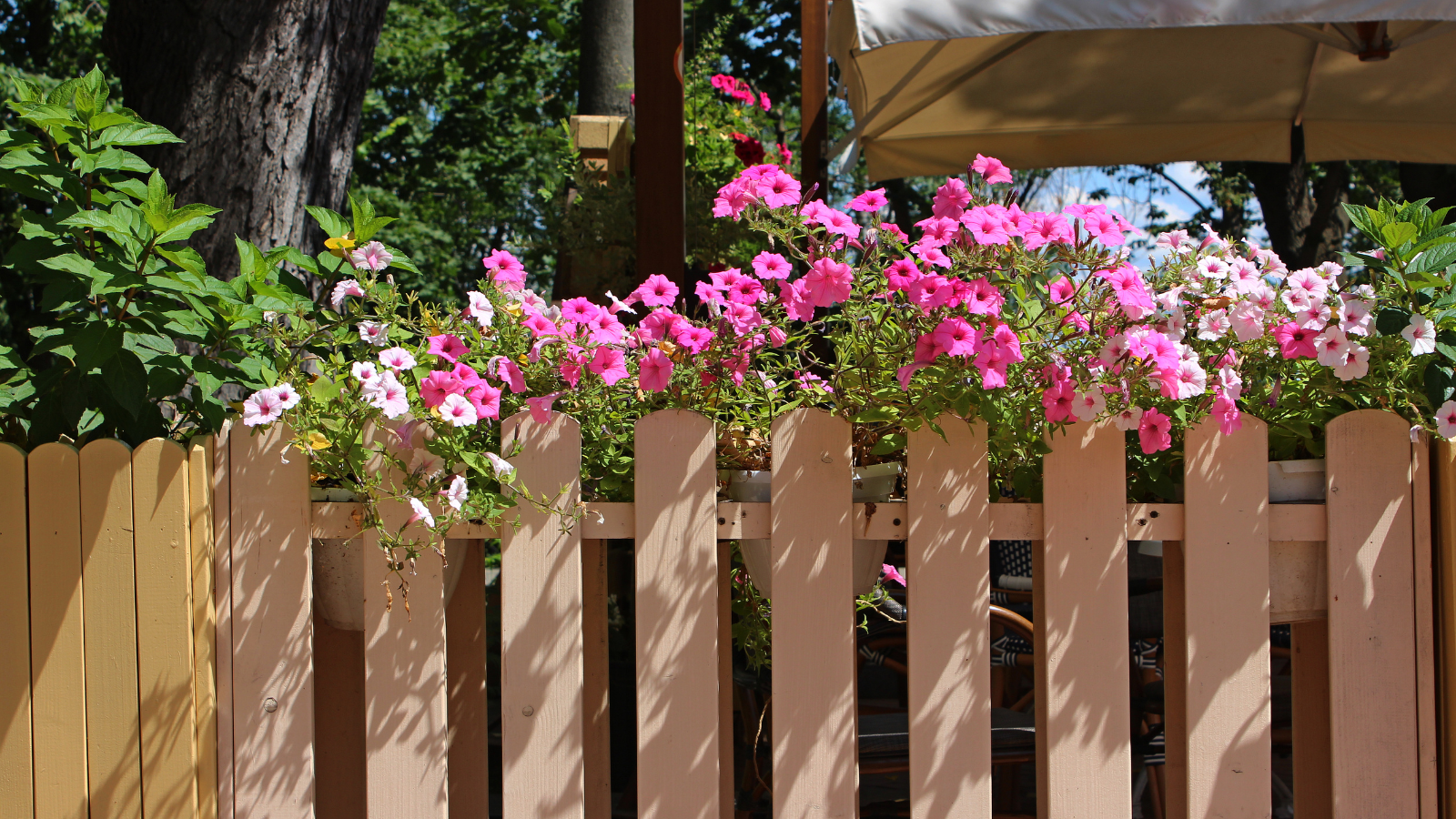 Decorative Fencing: Enhancing Your Virginia Property’s Curb Appeal 3 How Fencing Enhances Everyday Living Reitzel Roofing and Exteriors