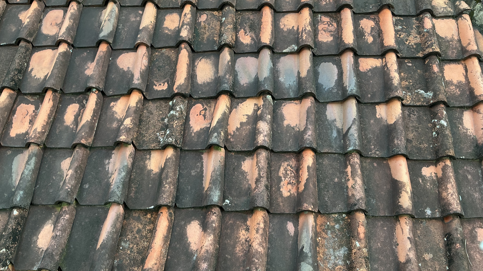 How Much Does Roof Replacement Cost in Virginia Beach in 2026? 2 How Roof Age Affects Replacement Timing Reitzel Roofing and Exteriors