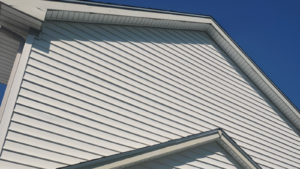 vinyl fiber cement siding comparison showing vinyl and fiber cement siding on two Virginia homes