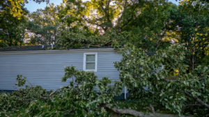 Tree damage roof Virginia Beach home after a storm with a fallen tree on the roofline