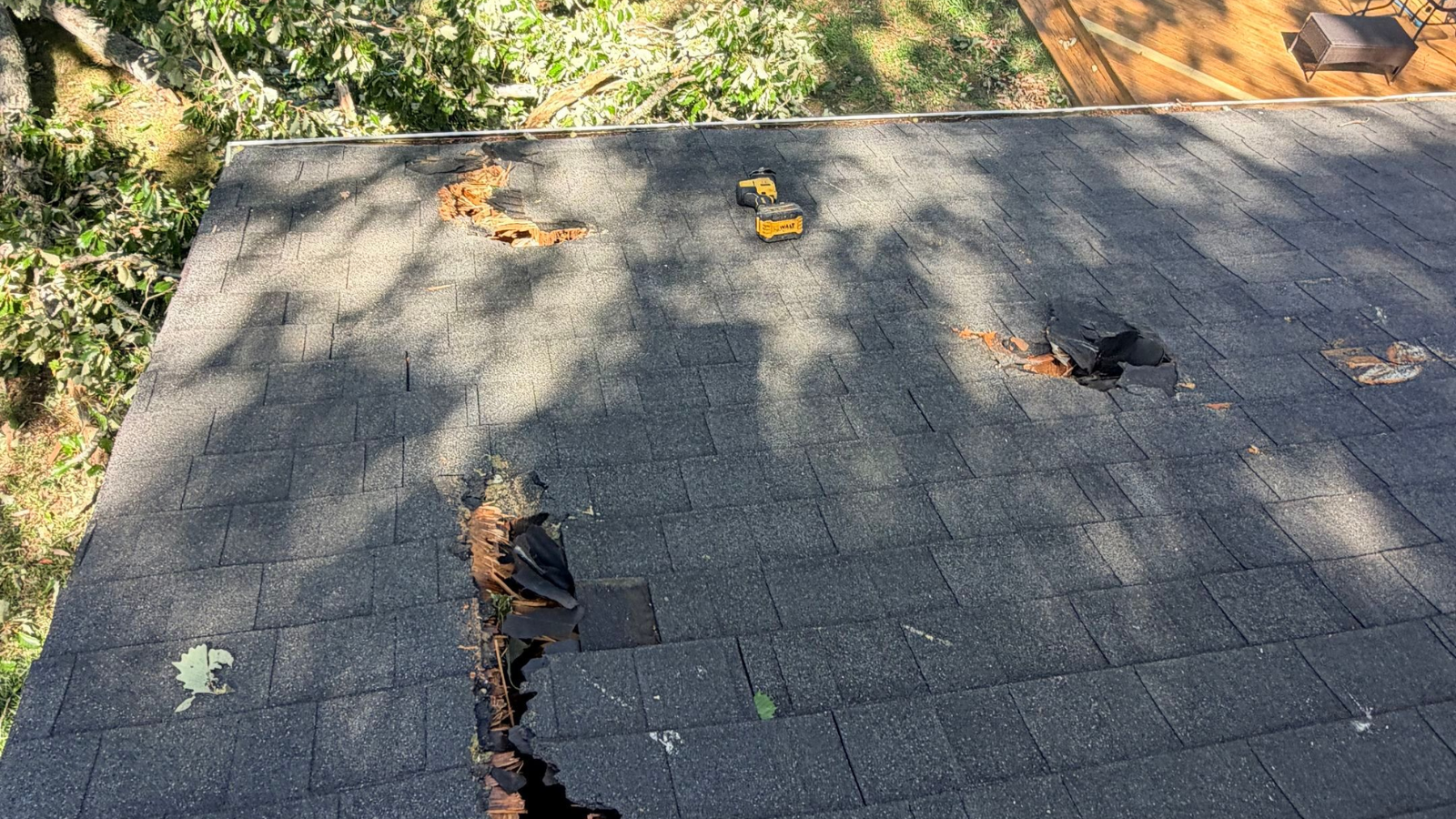 Tree Falls on Your Roof? What Virginia Beach Homeowners Should Do Next 1 79 Reitzel Roofing and Exteriors