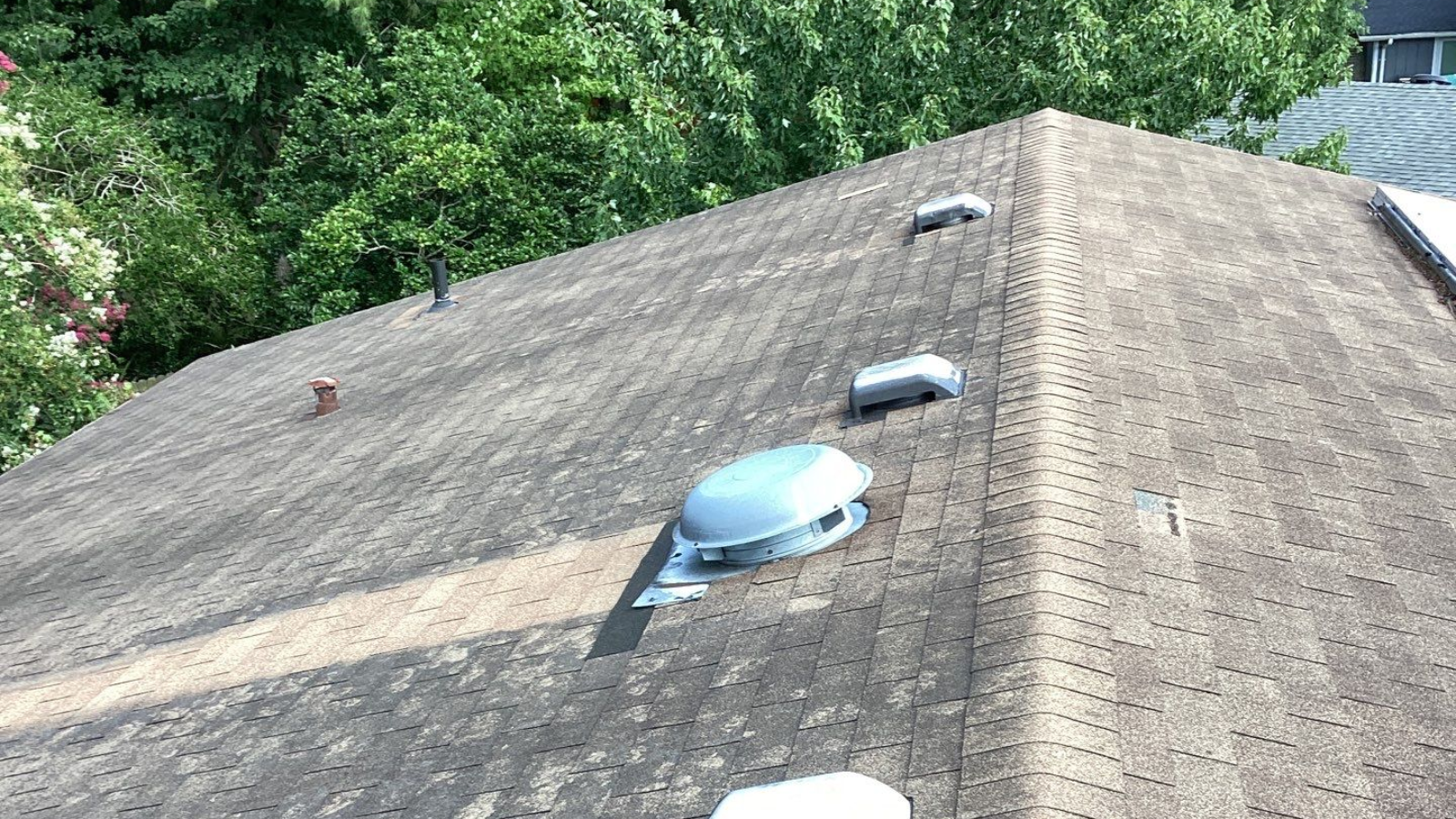 Tree Falls on Your Roof? What Virginia Beach Homeowners Should Do Next 2 80 Reitzel Roofing and Exteriors