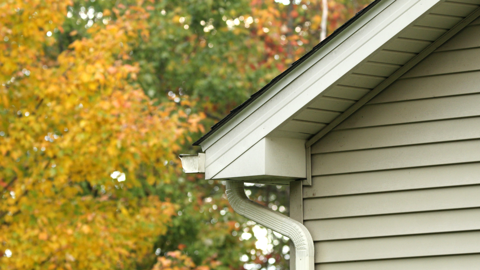 91 Reitzel Roofing and Exteriors