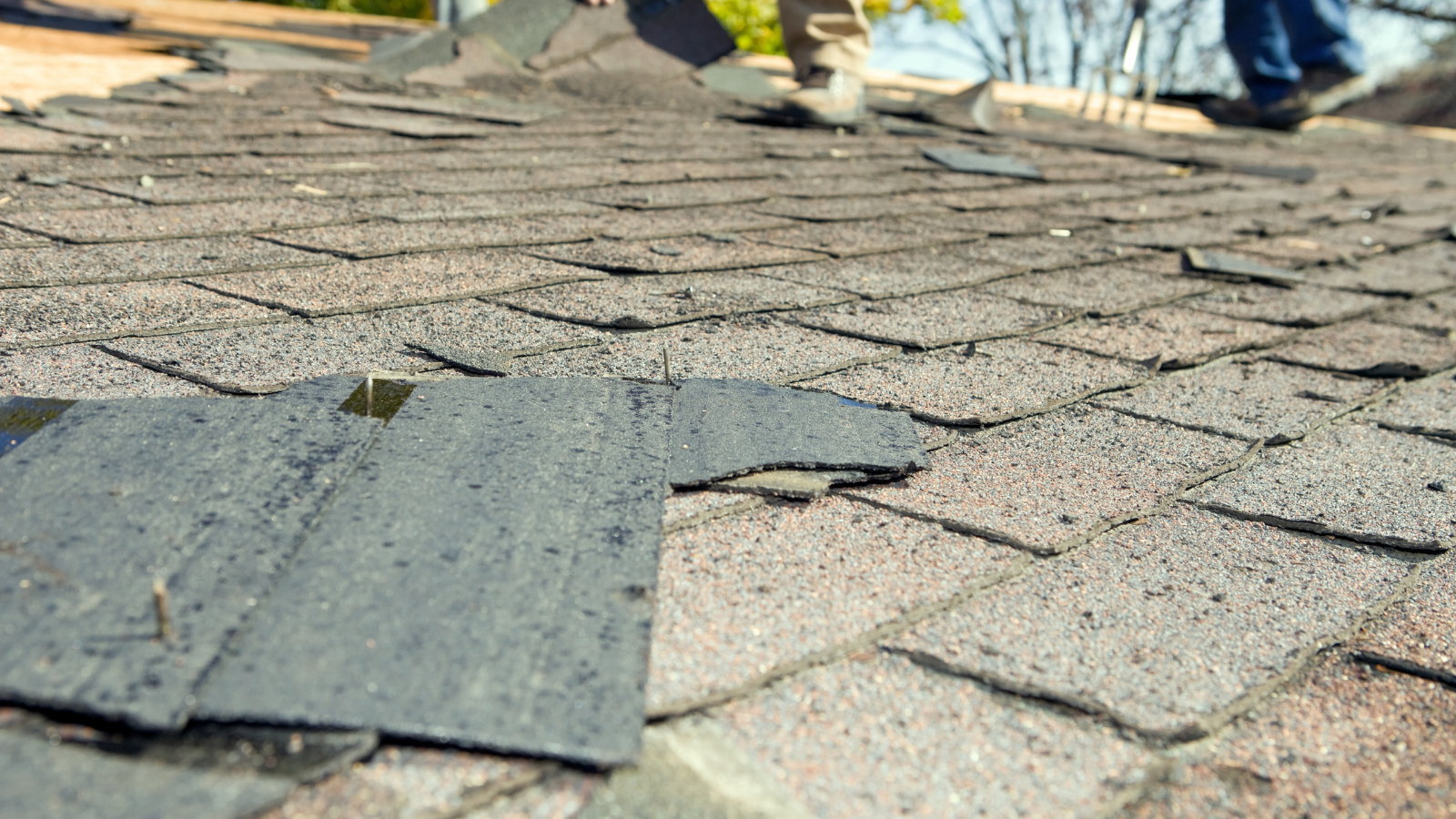 95 Reitzel Roofing and Exteriors
