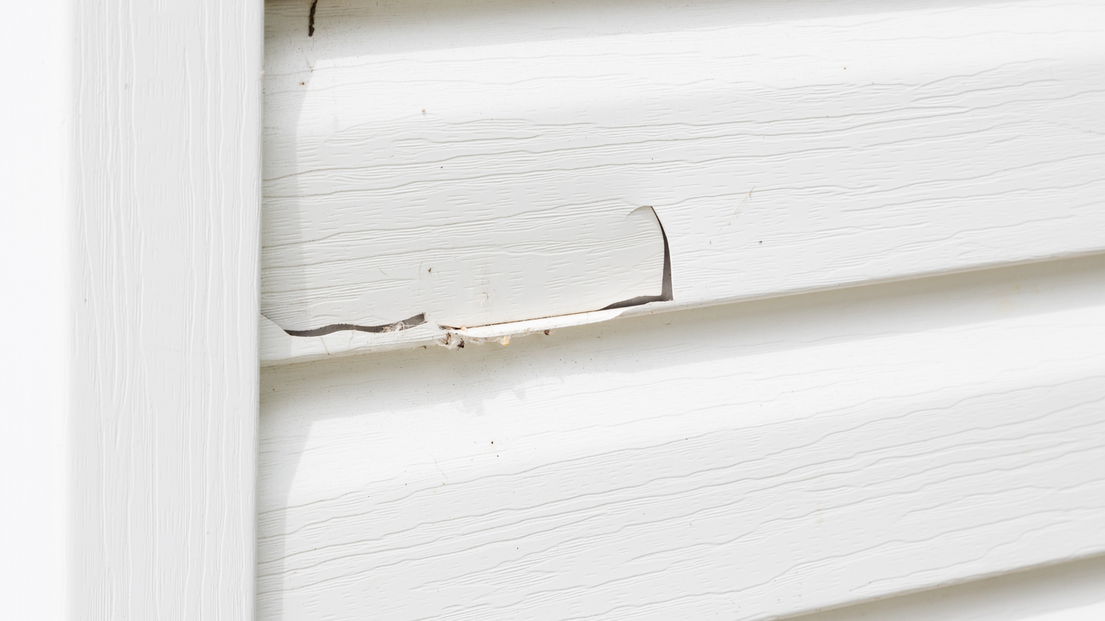Storm-Damaged Siding: When Is It Time to Replace in Virginia Beach? 2 97 Reitzel Roofing and Exteriors